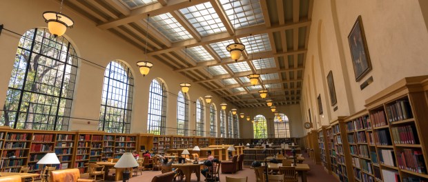 Lane The Lane reading room.